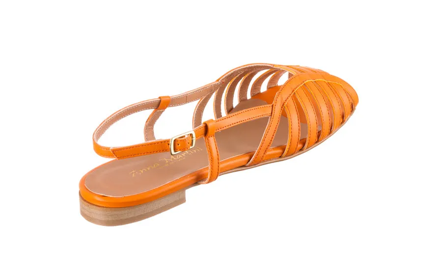 Am Poppy Orange