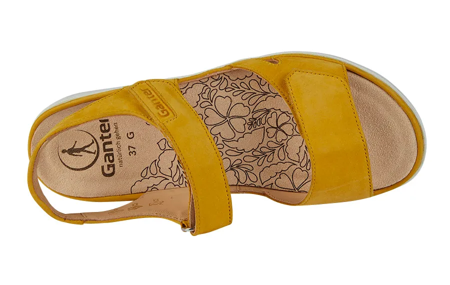 Gan Honey Yellow