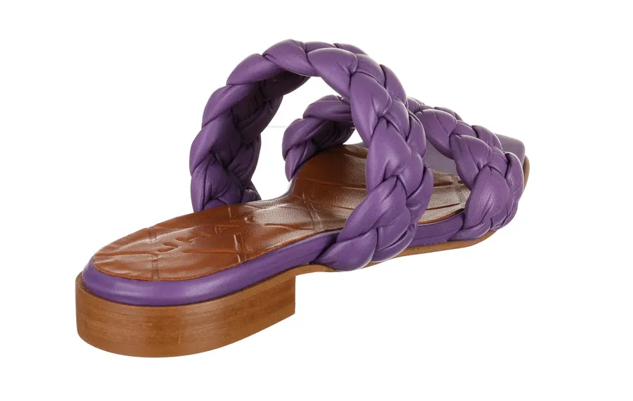 Hay Brightbraid Purple