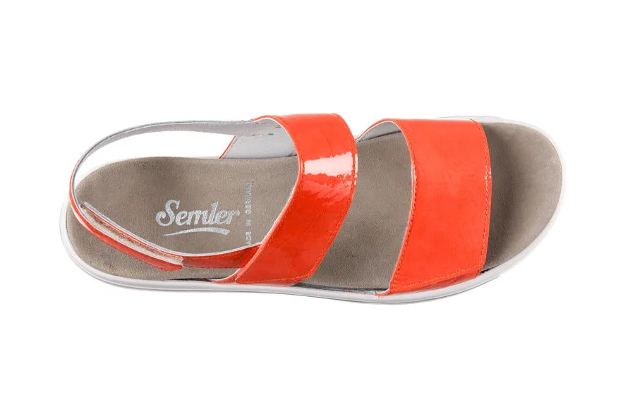 Sem Tangerine